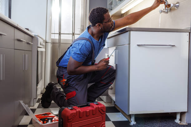Best Sprinkler Systems  in Pleasantville, IA